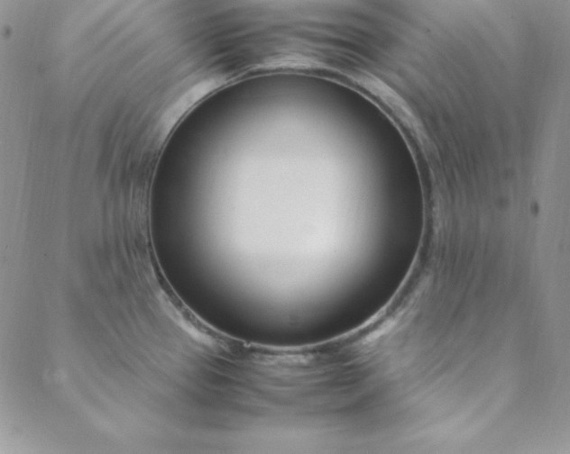 X0000088661337200706081653