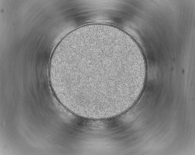 X0000088661338200706081653