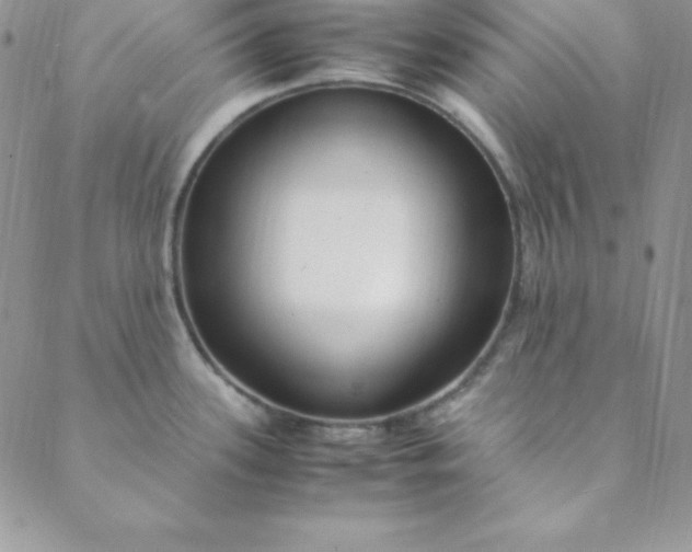 X0000088661339200706081653