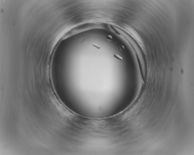 X0000088661340200706081653