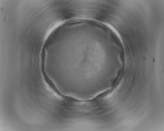 X0000088661341200706081653