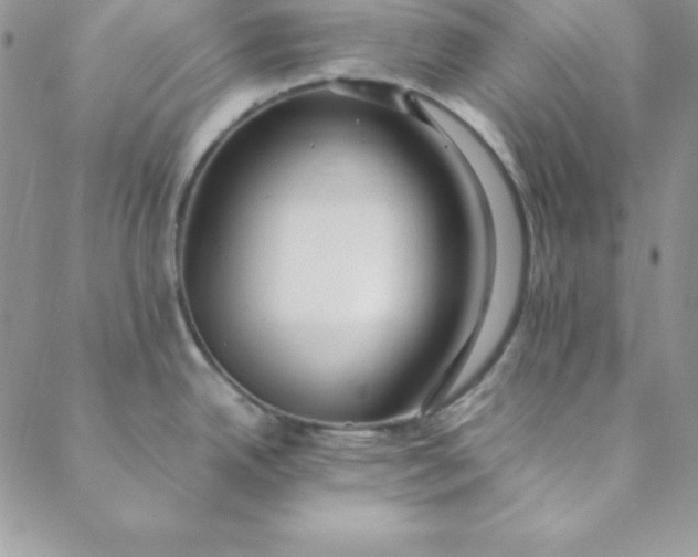 X0000088661342200706081653