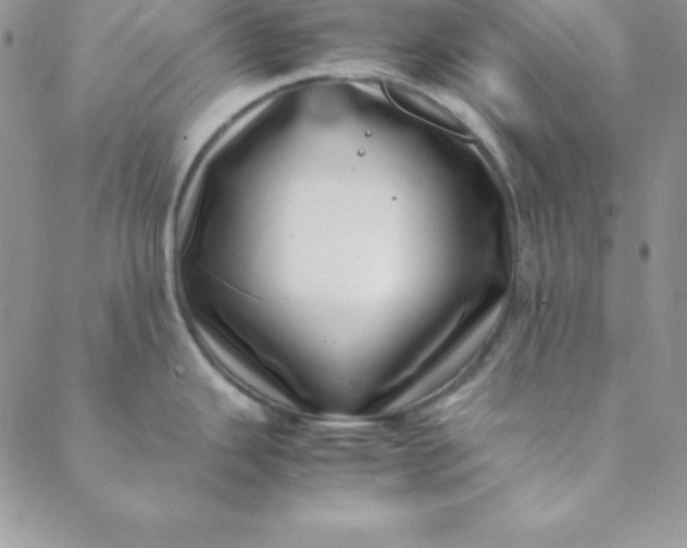 X0000088661343200706081653