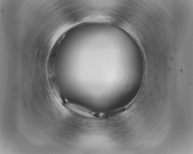 X0000088661344200706081653