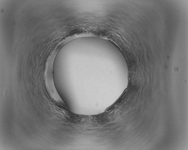 X0000088661345200706081652