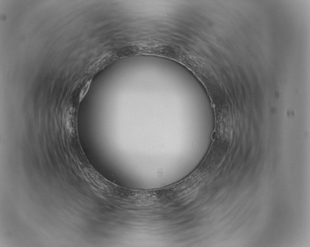 X0000088661346200706081652