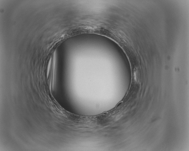 X0000088661347200706081652