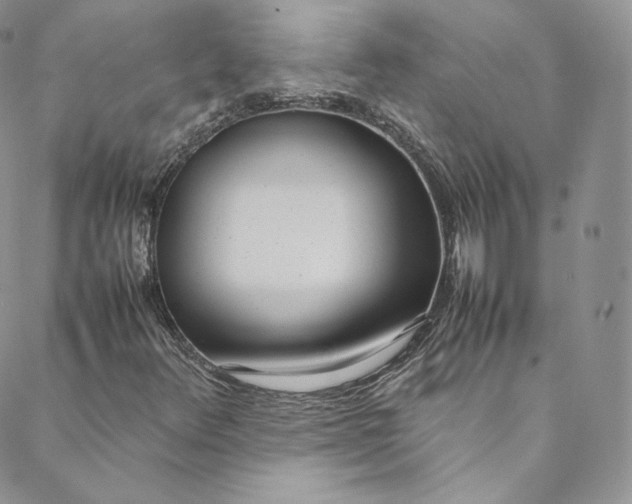 X0000088661348200706081652