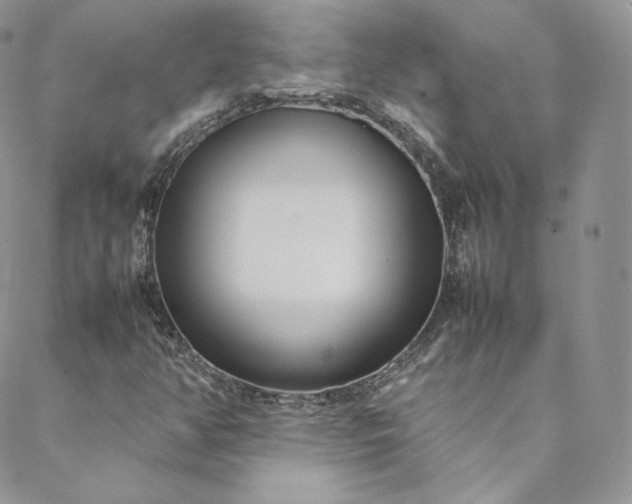 X0000088661350200706081652