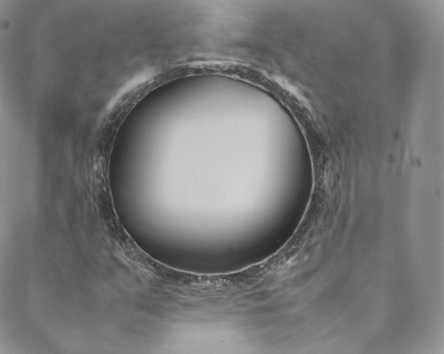 X0000088661351200706081652