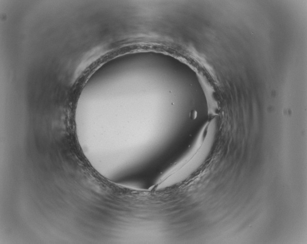 X0000088661352200706081652