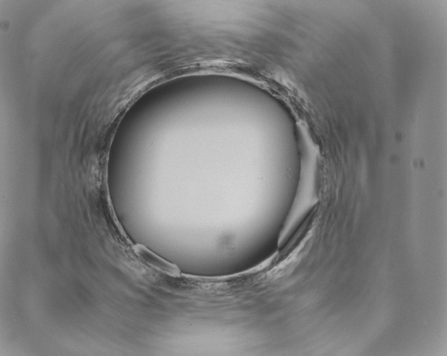 X0000088661353200706081652