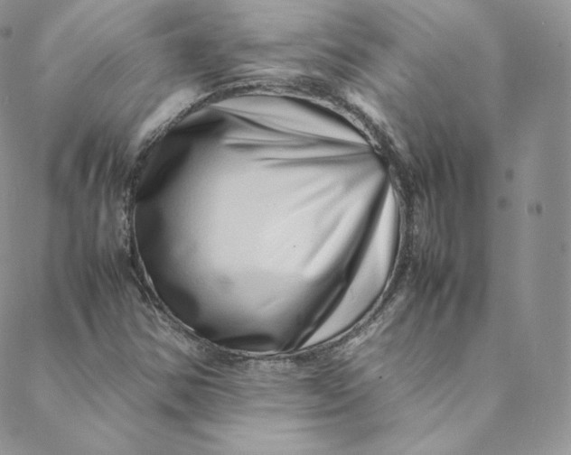 X0000088661354200706081652