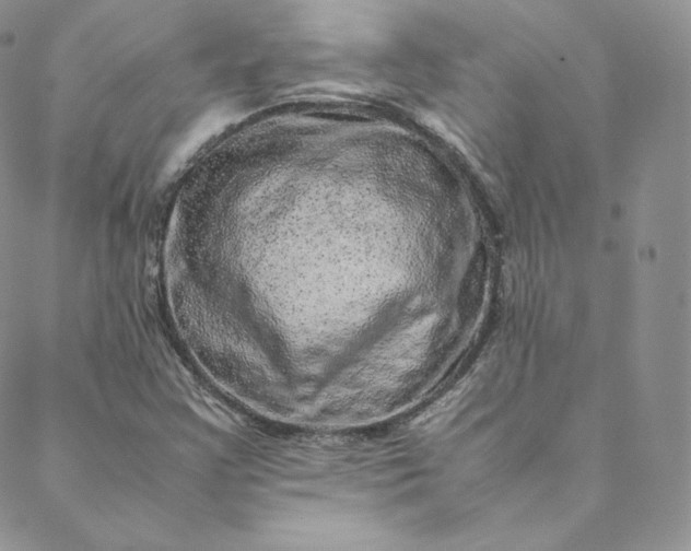 X0000088661355200706081652