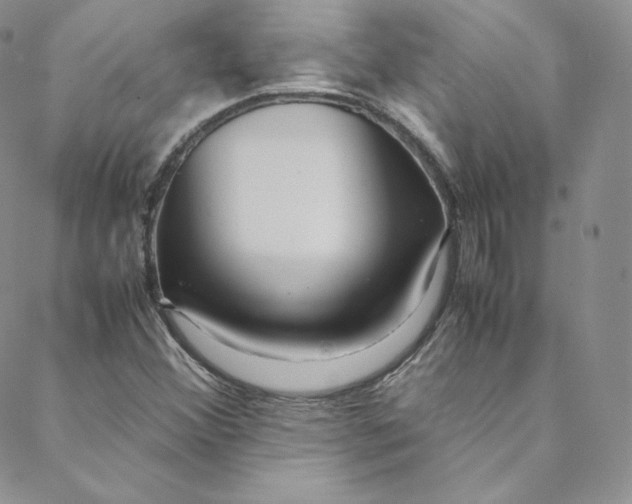 X0000088661356200706081652