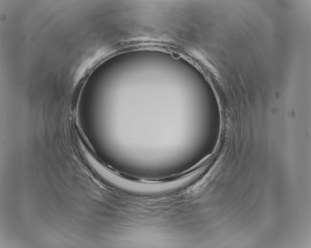 X0000088661357200706081652