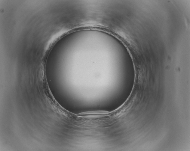 X0000088661358200706081652