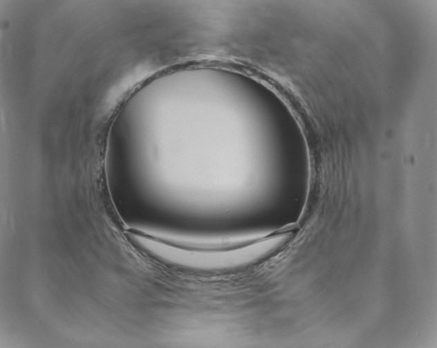 X0000088661359200706081652