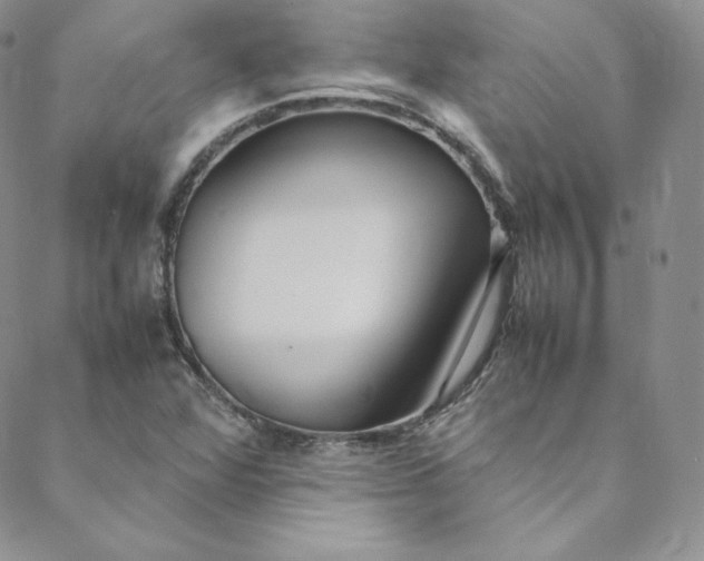 X0000088661360200706081652