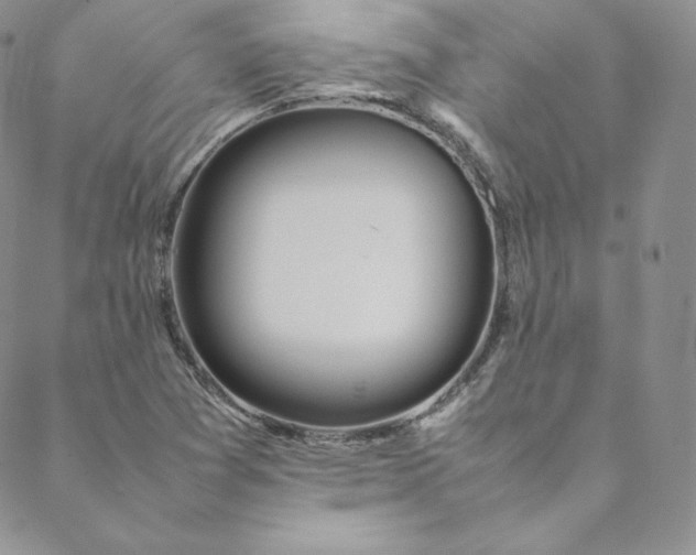 X0000088661361200706081652