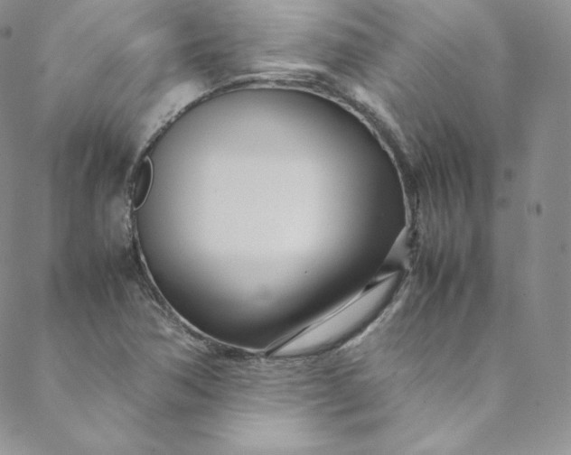 X0000088661362200706081652