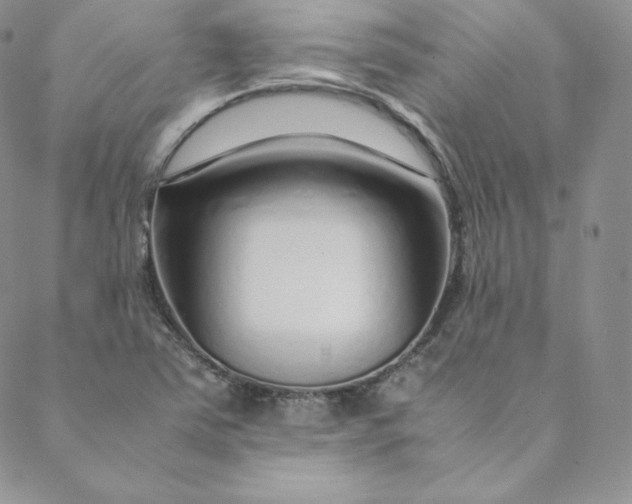 X0000088661363200706081652