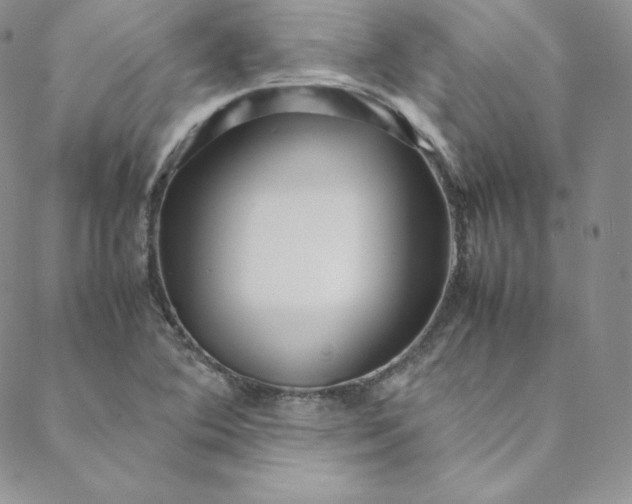 X0000088661364200706081652