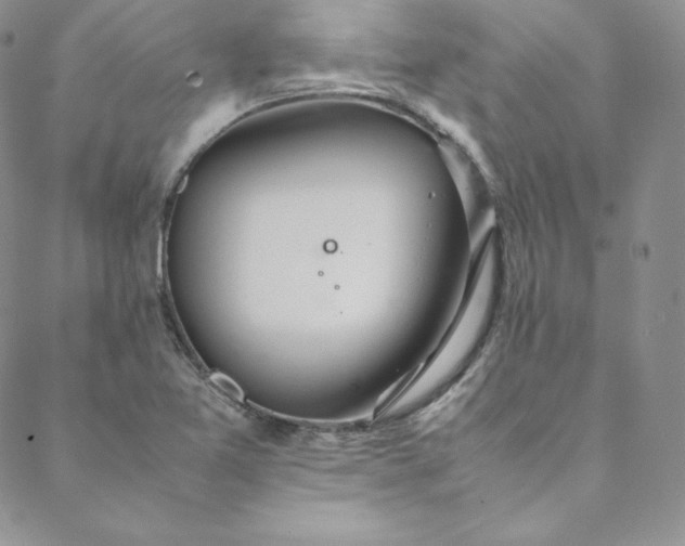 X0000088661365200706081652