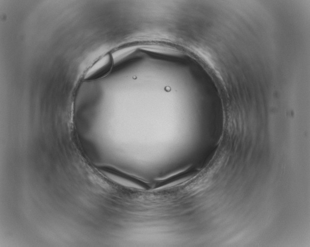 X0000088661366200706081652