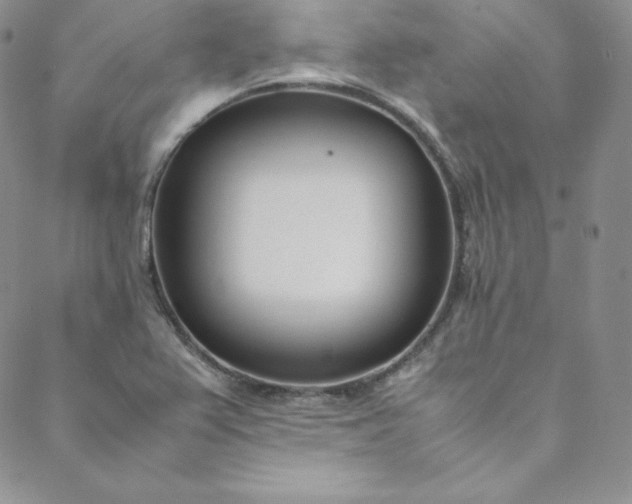 X0000088661367200706081652