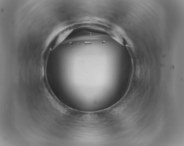 X0000088661368200706081652