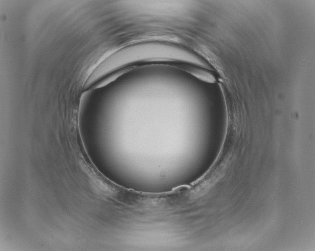 X0000088661369200706081652