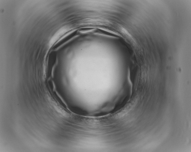 X0000088661370200706081652