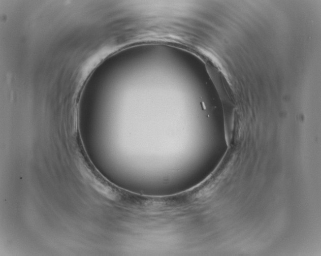 X0000088661371200706081652