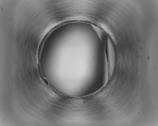 X0000088661372200706081652