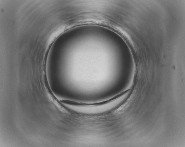 X0000088661373200706081652