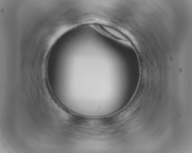 X0000088661375200706081652