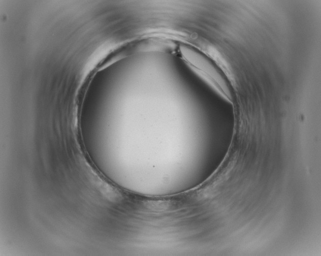 X0000088661376200706081652