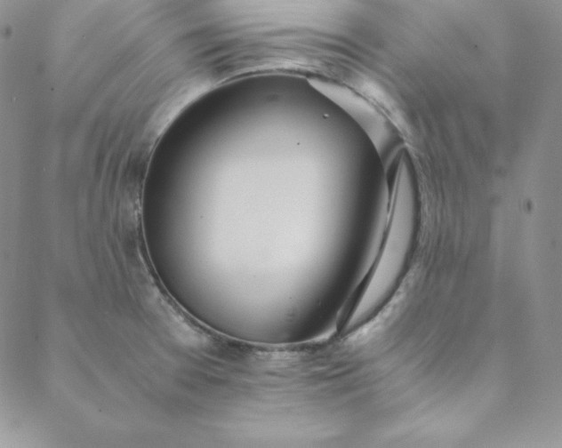 X0000088661377200706081652