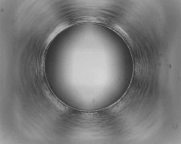 X0000088661378200706081652