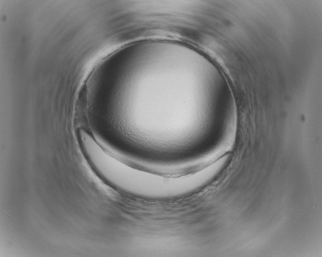 X0000088661379200706081652