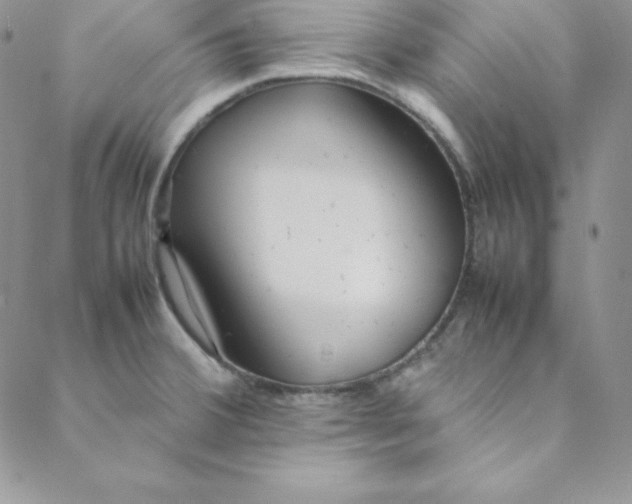 X0000088661380200706081652