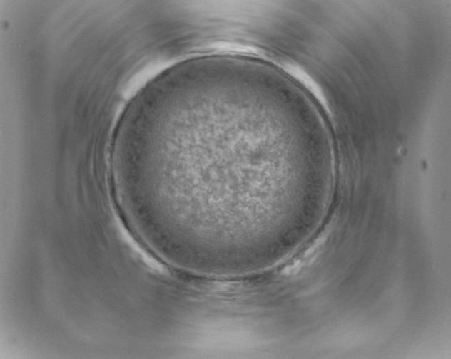 X0000088661381200706081652