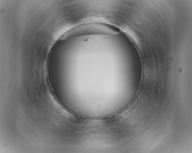 X0000088661382200706081652