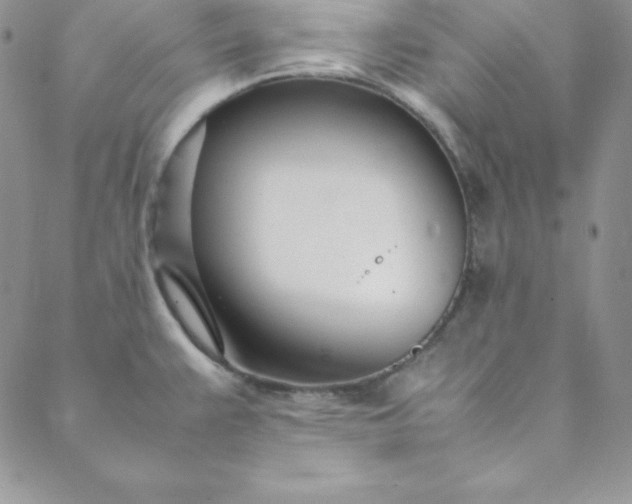 X0000088661383200706081652