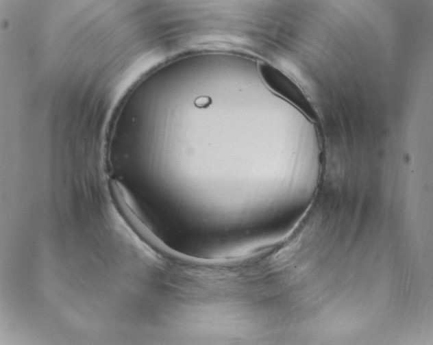 X0000088661384200706081652