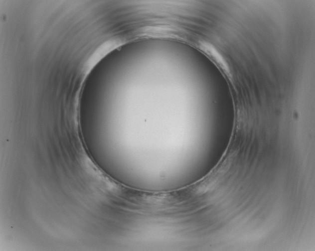 X0000088661386200706081652