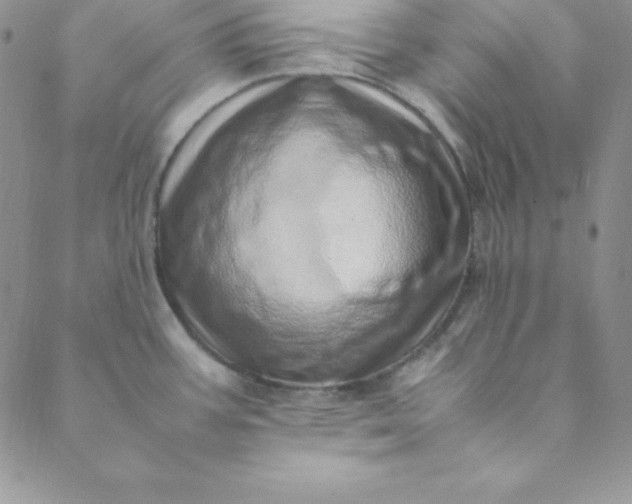 X0000088661387200706081652