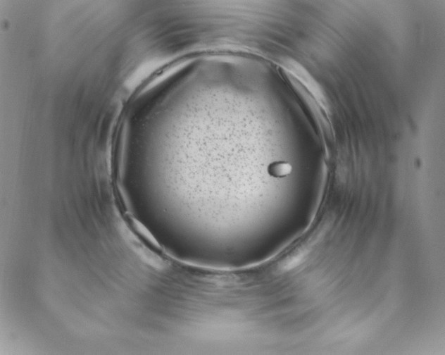 X0000088661388200706081652