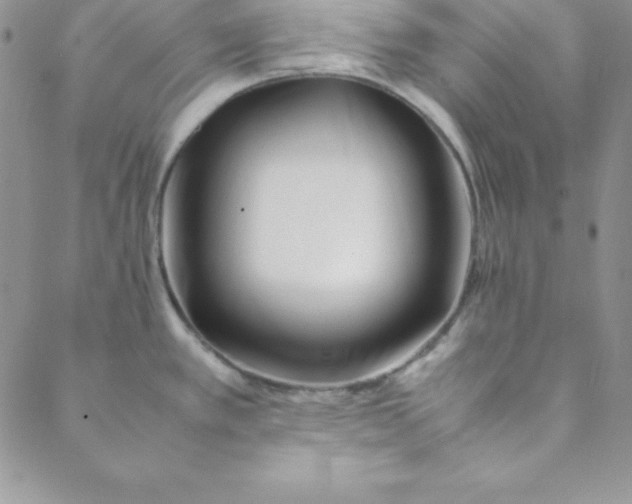 X0000088661389200706081652